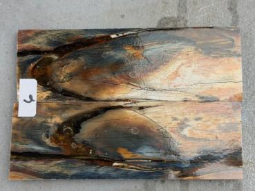 Stabilisiertes Mammutelfenbein - 6